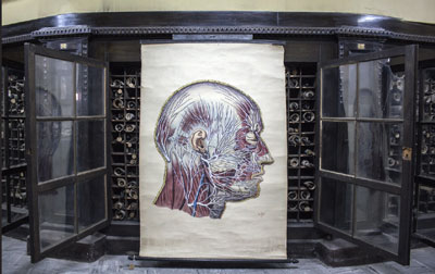 example image