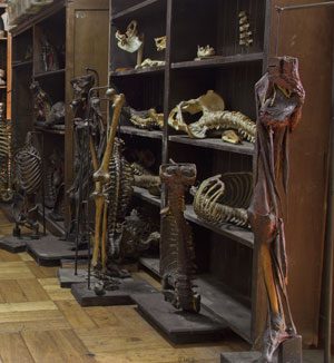 example image